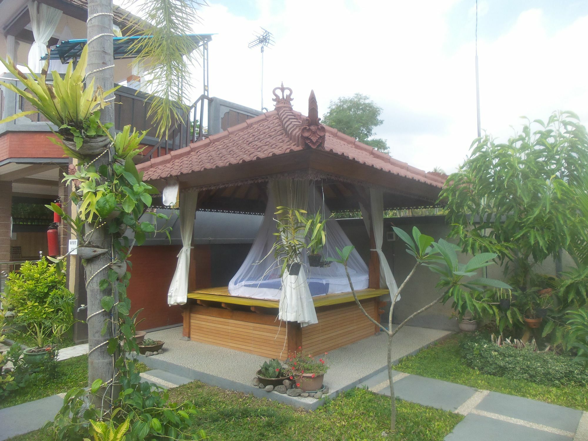 Summer Guesthouse Lovina Exterior foto