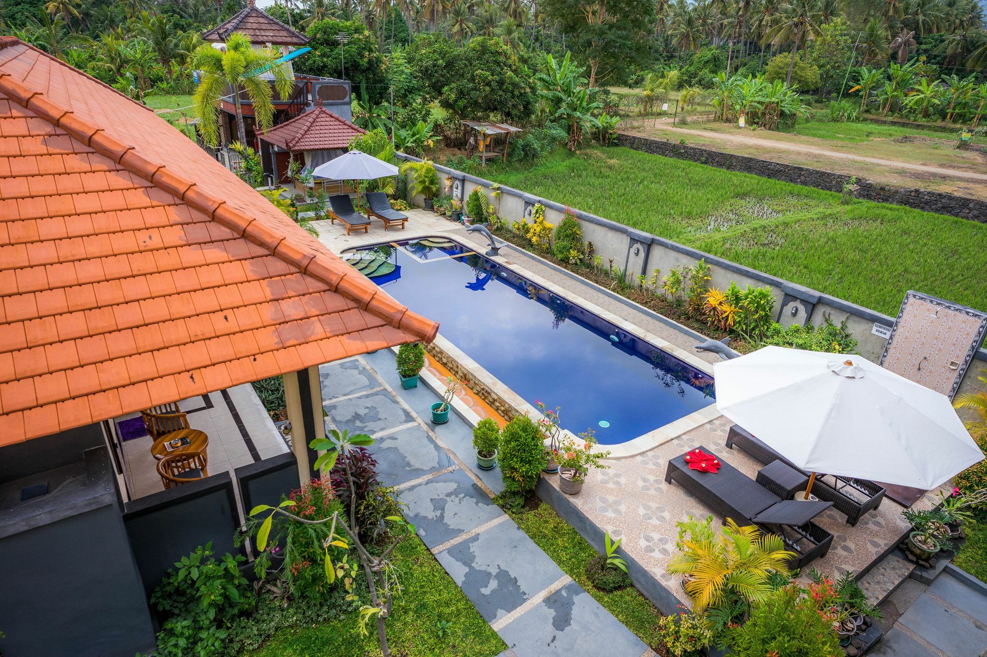 Summer Guesthouse Lovina Exterior foto
